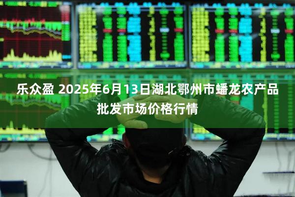 乐众盈 2025年6月13日湖北鄂州市蟠龙农产品批发市场价格行情