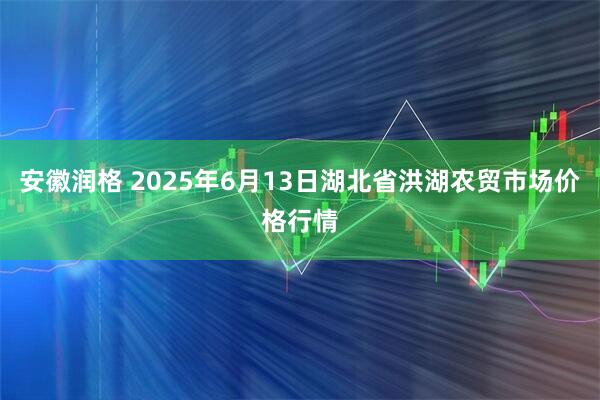 安徽润格 2025年6月13日湖北省洪湖农贸市场价格行情