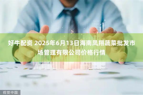 好牛配资 2025年6月13日海南凤翔蔬菜批发市场管理有限公司价格行情