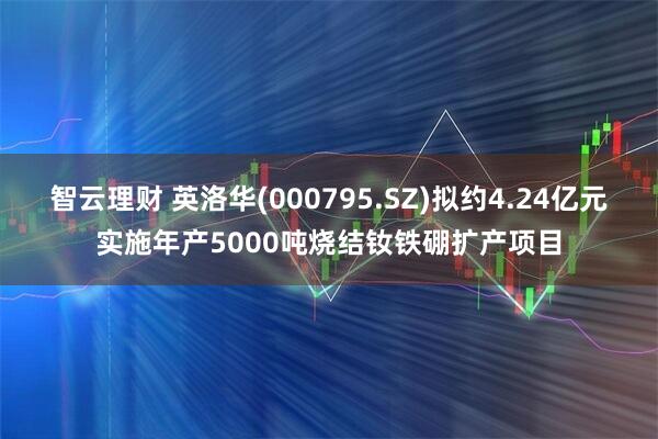 智云理财 英洛华(000795.SZ)拟约4.24亿元实施年产5000吨烧结钕铁硼扩产项目