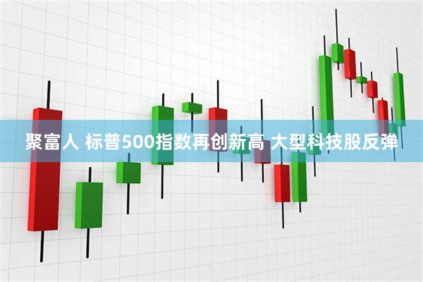 聚富人 标普500指数再创新高 大型科技股反弹
