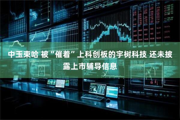 中玉束哈 被“催着”上科创板的宇树科技 还未披露上市辅导信息