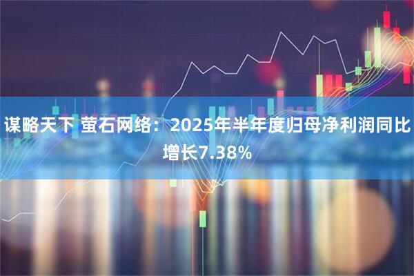 谋略天下 萤石网络：2025年半年度归母净利润同比增长7.38%